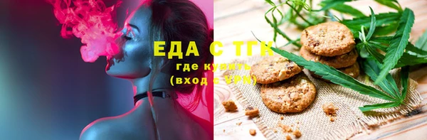 ГАЛЛЮЦИНОГЕННЫЕ ГРИБЫ Дмитриев