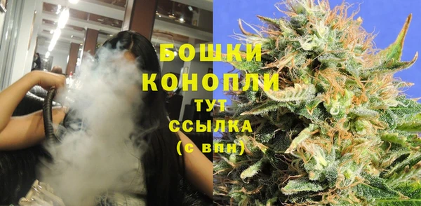 спиды Гусев
