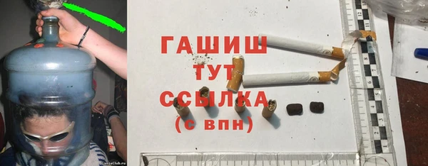 ГАЛЛЮЦИНОГЕННЫЕ ГРИБЫ Дмитриев