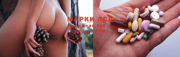 спиды Гусев