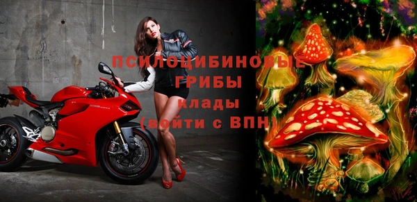 шишки Сосновоборск