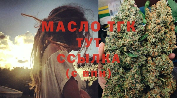 спиды Гусев