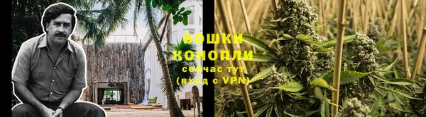 каннабис Гусиноозёрск