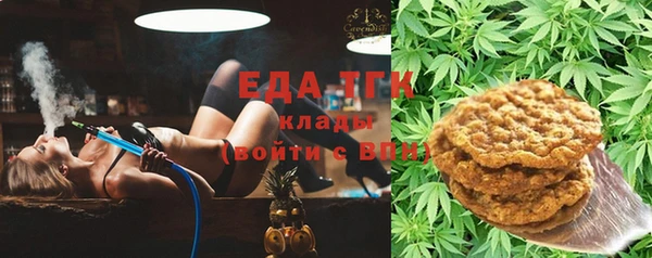 спиды Гусев