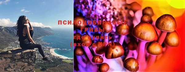 спиды Гусев