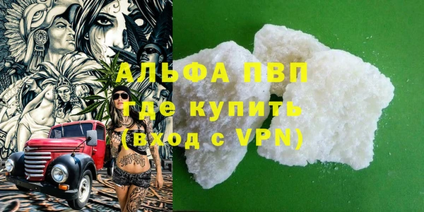 спиды Гусев