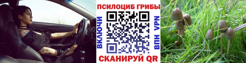 Купить закладки  Отрадный  Галлюциногенные грибы ЛСД 