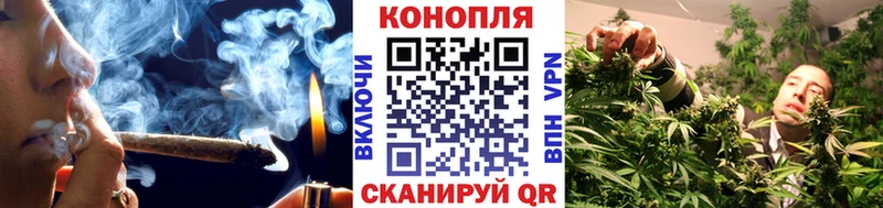 Марихуана сатива  Купить где  Отрадный 